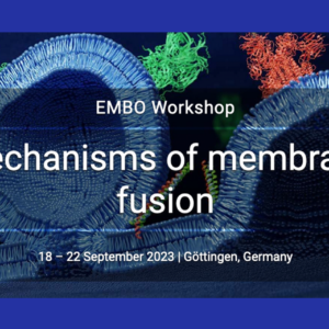 Scientific Image by Alexey Chizhik Third Institute of Physics University of Goettingen