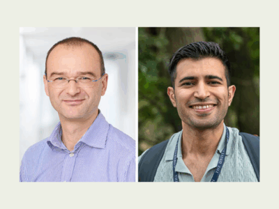 Teamwork in the inner ear: our sense of hearing relies on the organised grouping of proteins