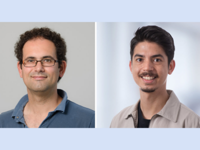 High-resolution electron microscopy sheds light into the cellular responses to stress