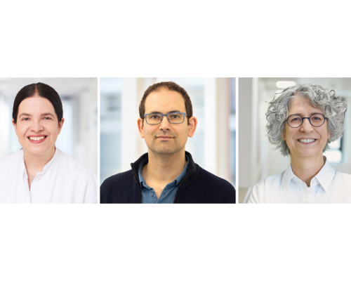 Following in Parkinson’s footsteps: research team at UMG receives millions in funding