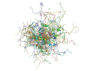 Cancer protein p53 observed in action: more order than expected