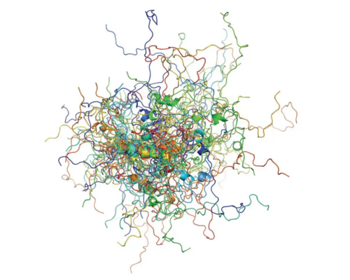 Cancer protein p53 observed in action: more order than expected